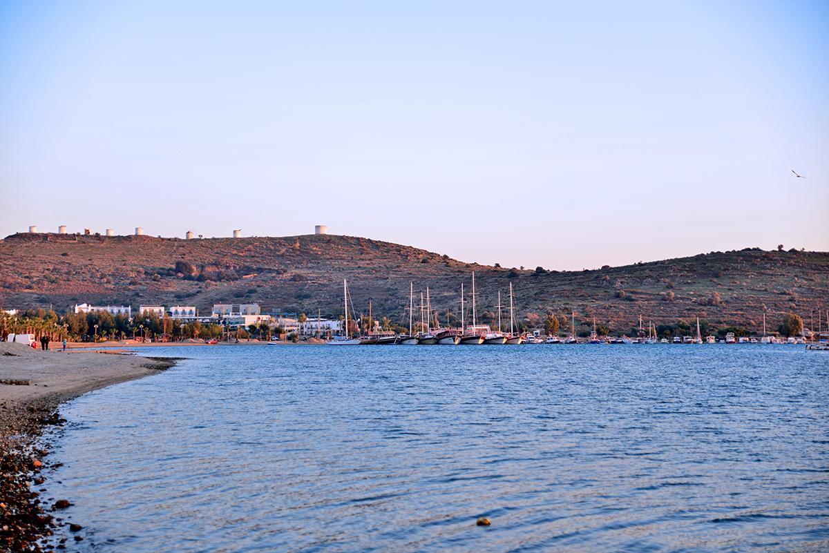 غومْبيت جناح M المظهر الخارجي الصورة